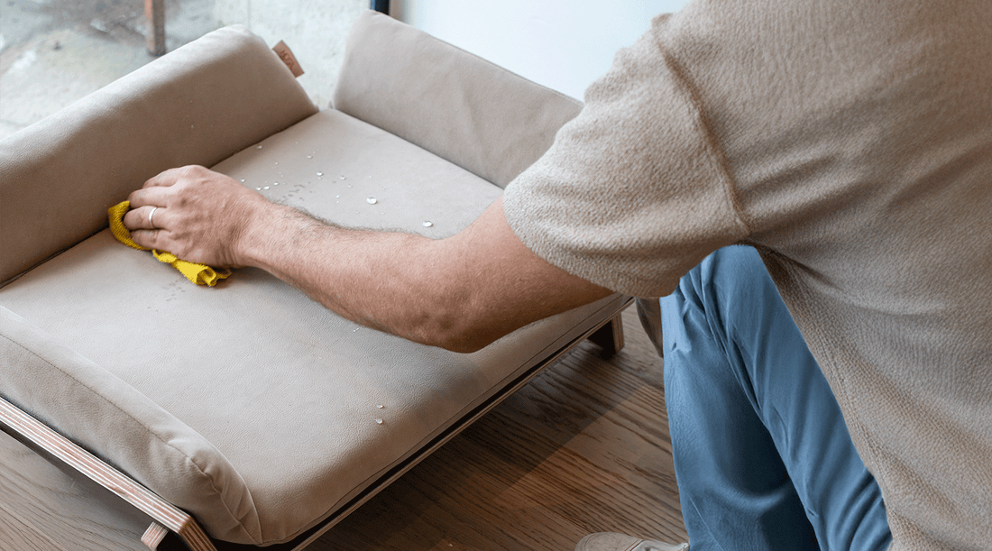 קטנים, מעוצבים ונקיים: המדריך לבחירת המיטה המושלמת לכלב הקטן (מהדורת 2026)