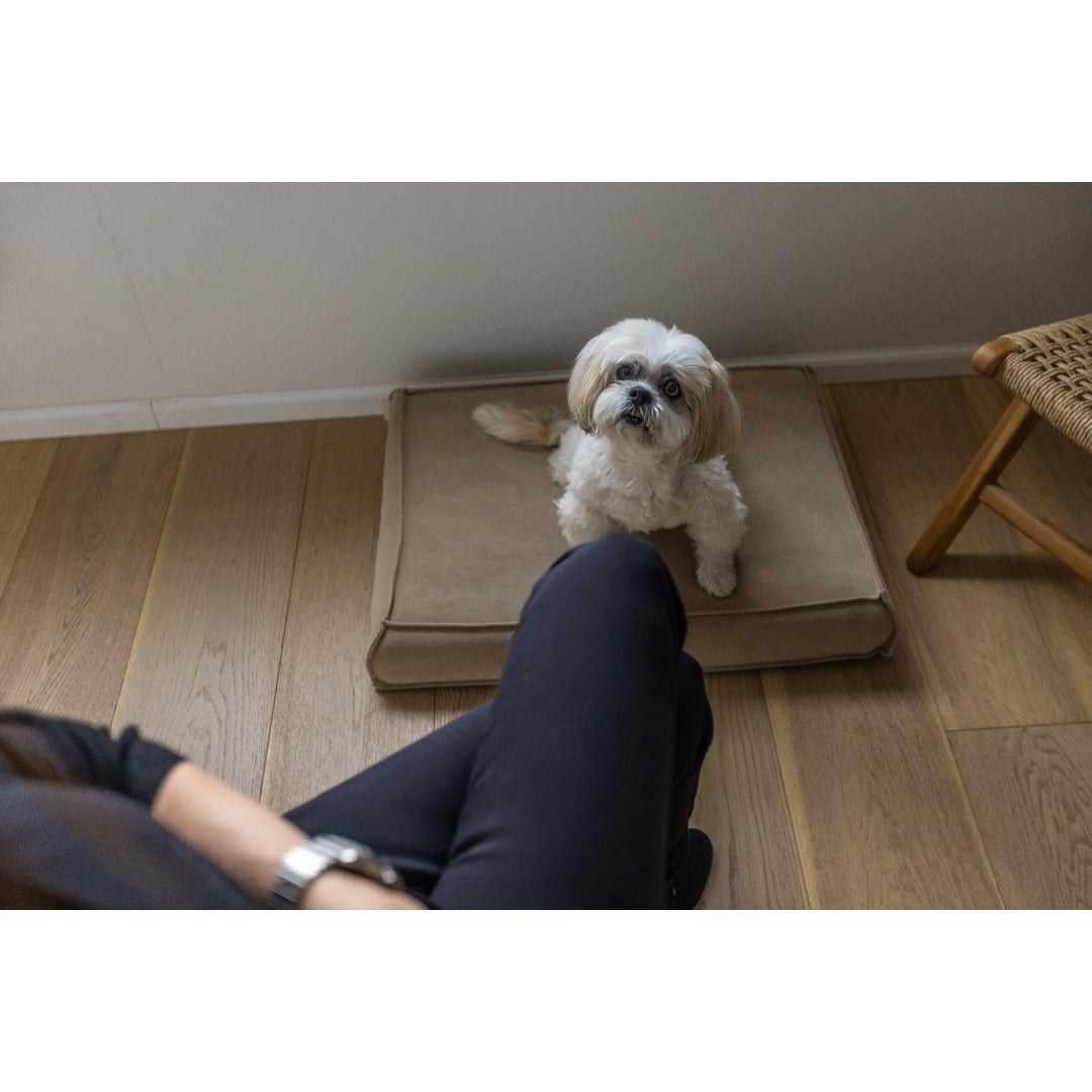 עומר – מזרן רביצה