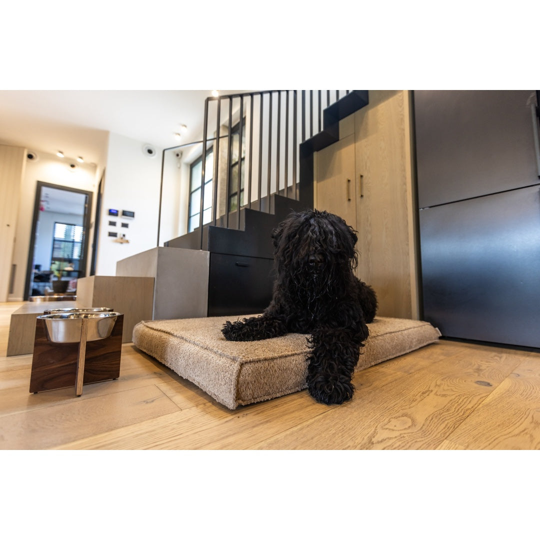 עומר – מזרן רביצה