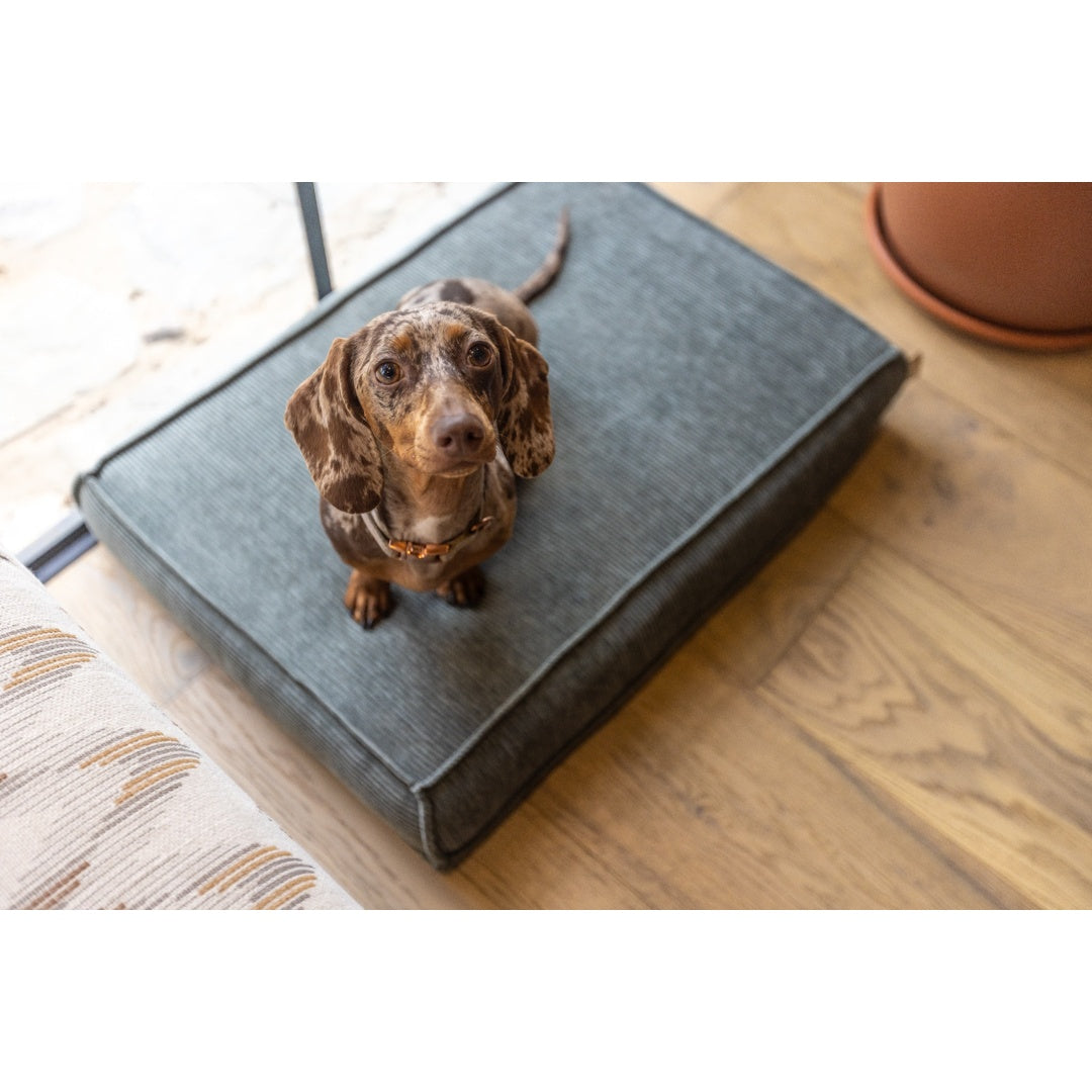 עומר – מזרן רביצה