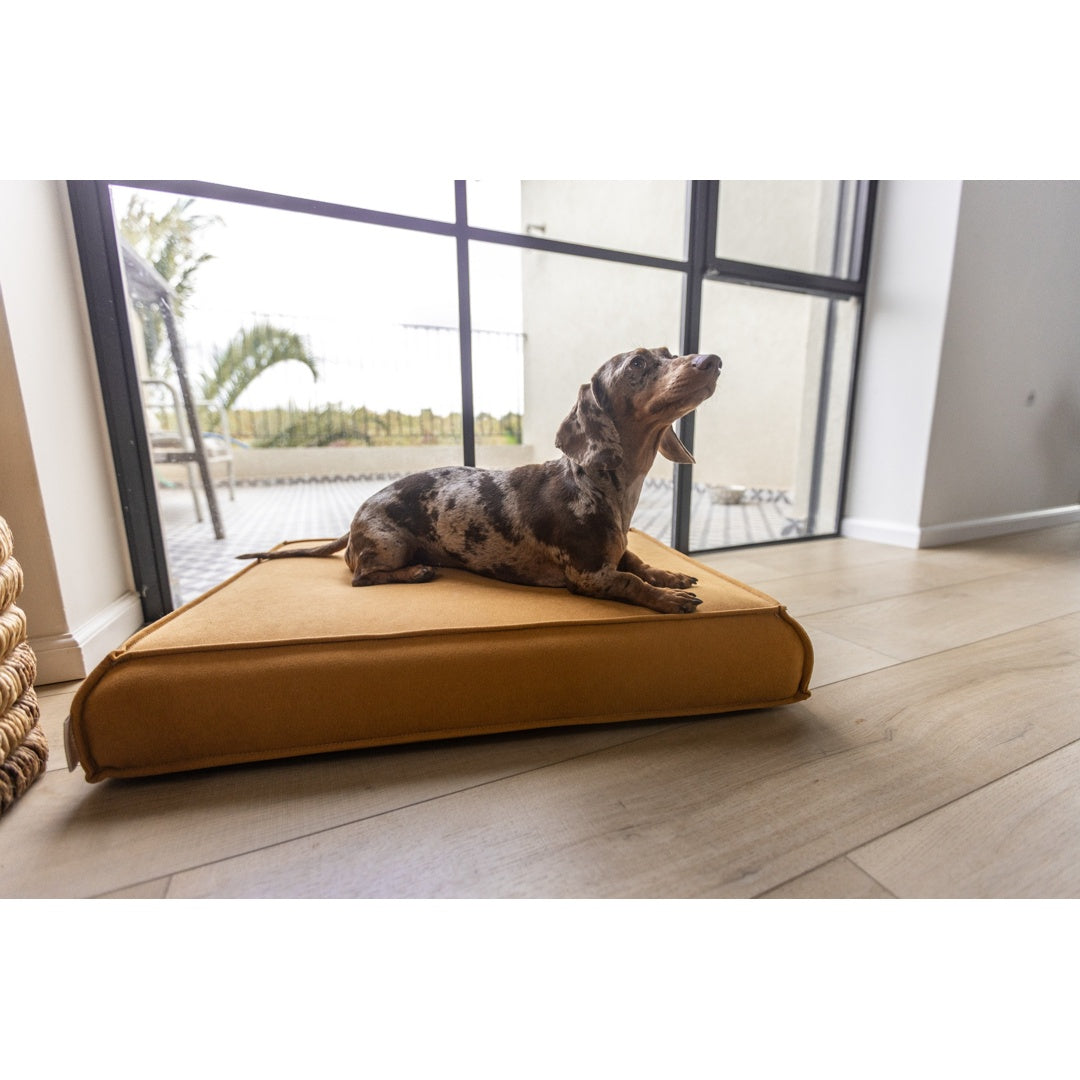 עומר – מזרן רביצה