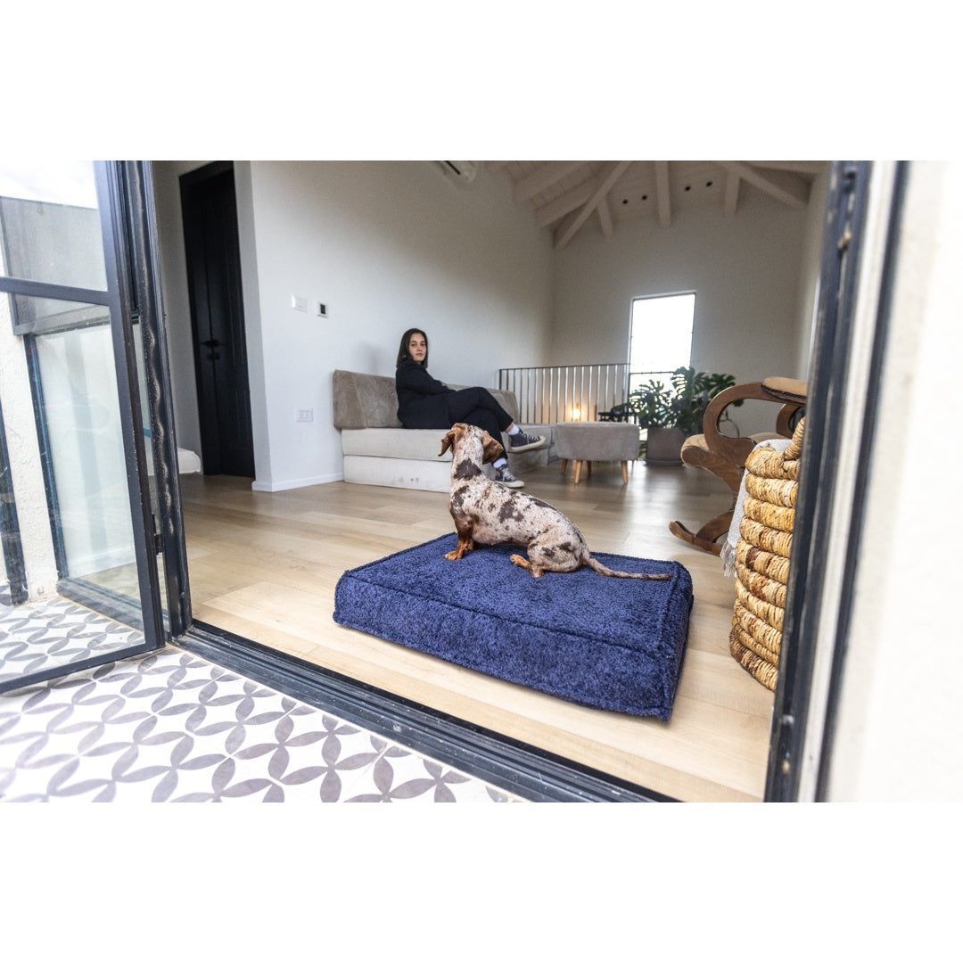 עומר – מזרן רביצה