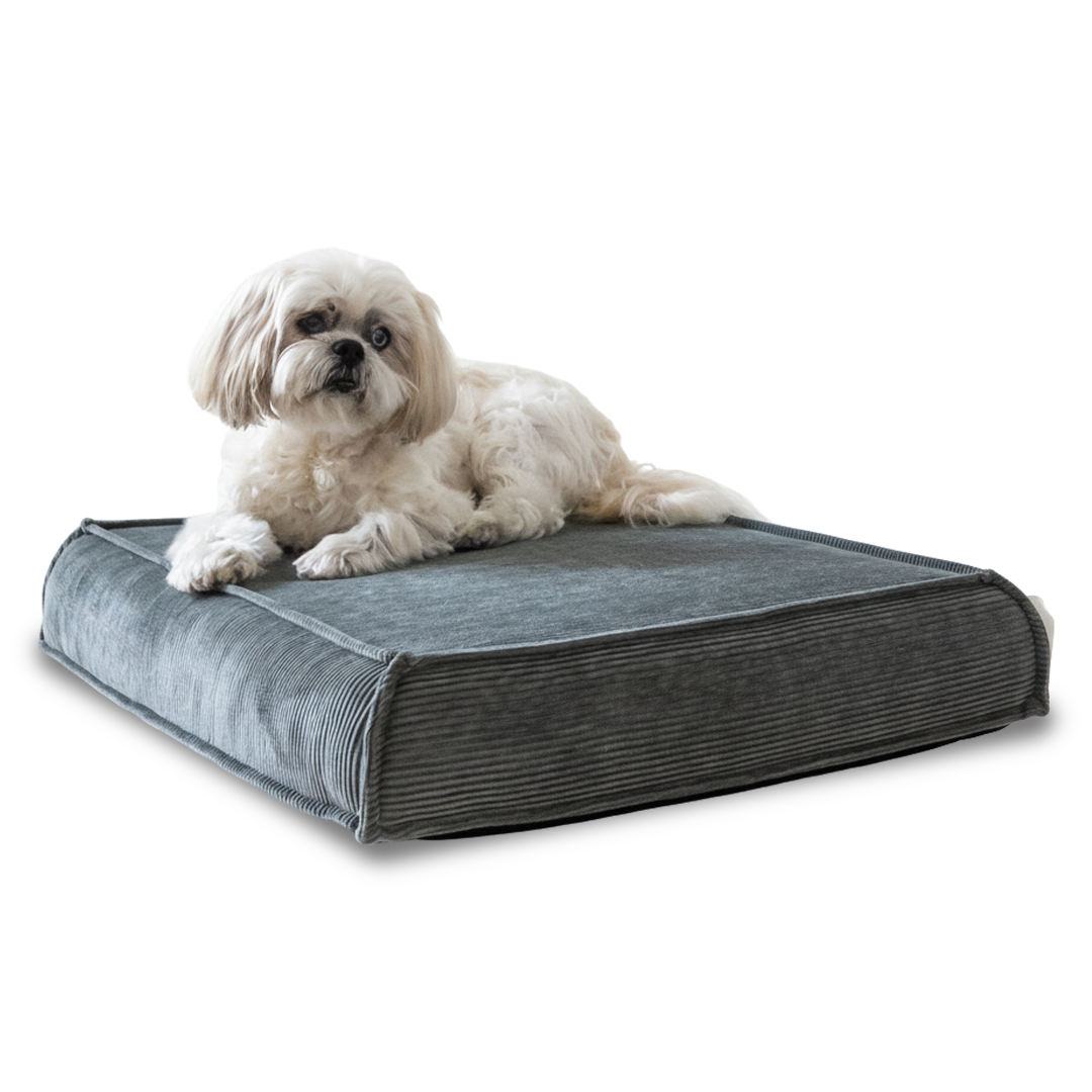 עומר – מזרן רביצה