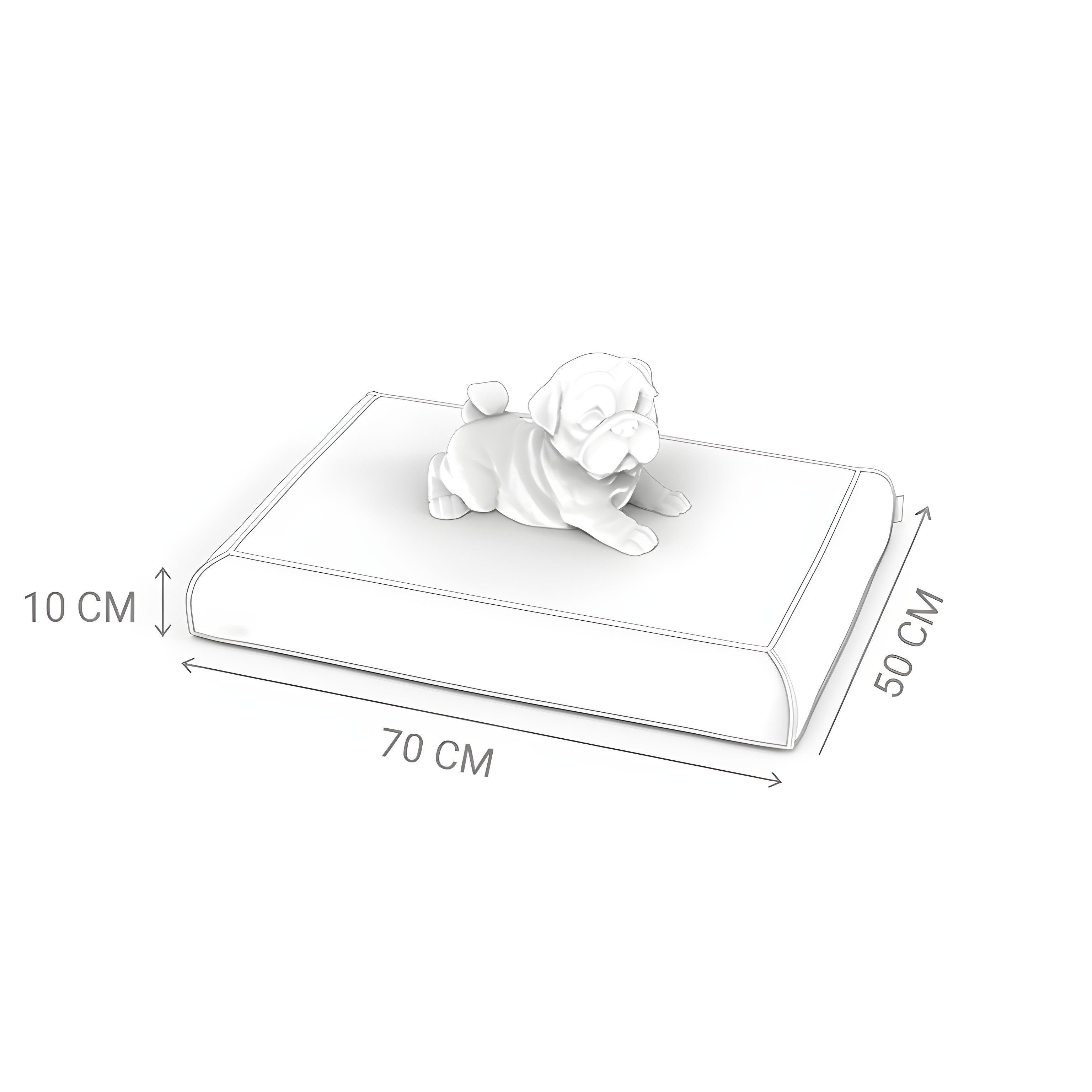 עומר – מזרן רביצה