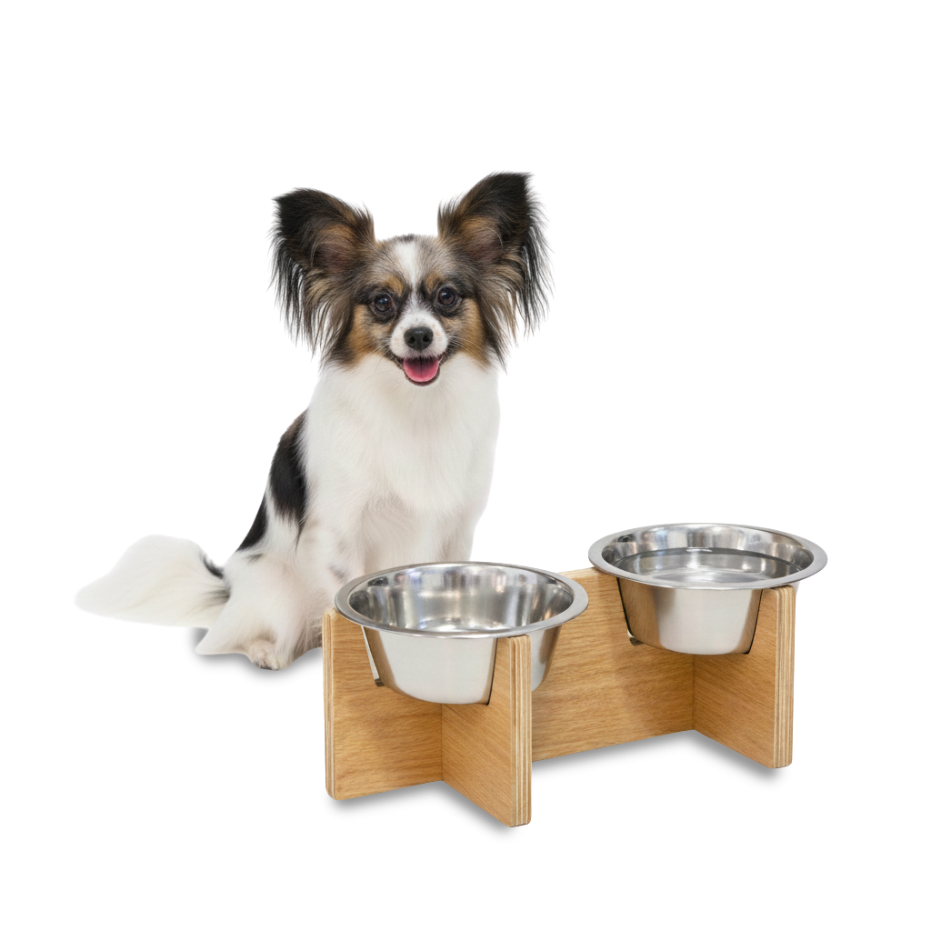 פטריק - מעמד האכלה ארגונומי