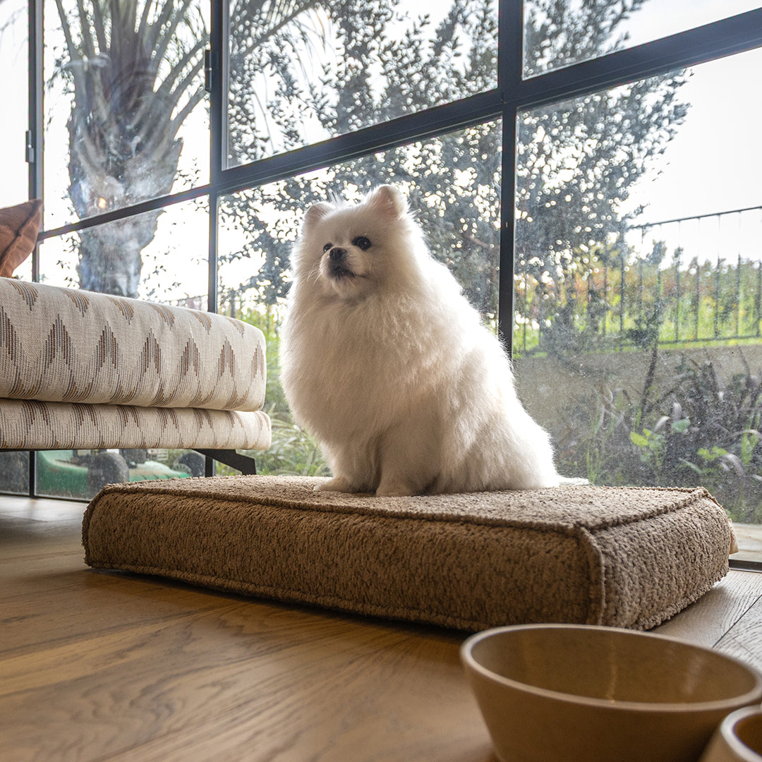 עומר – מזרן רביצה