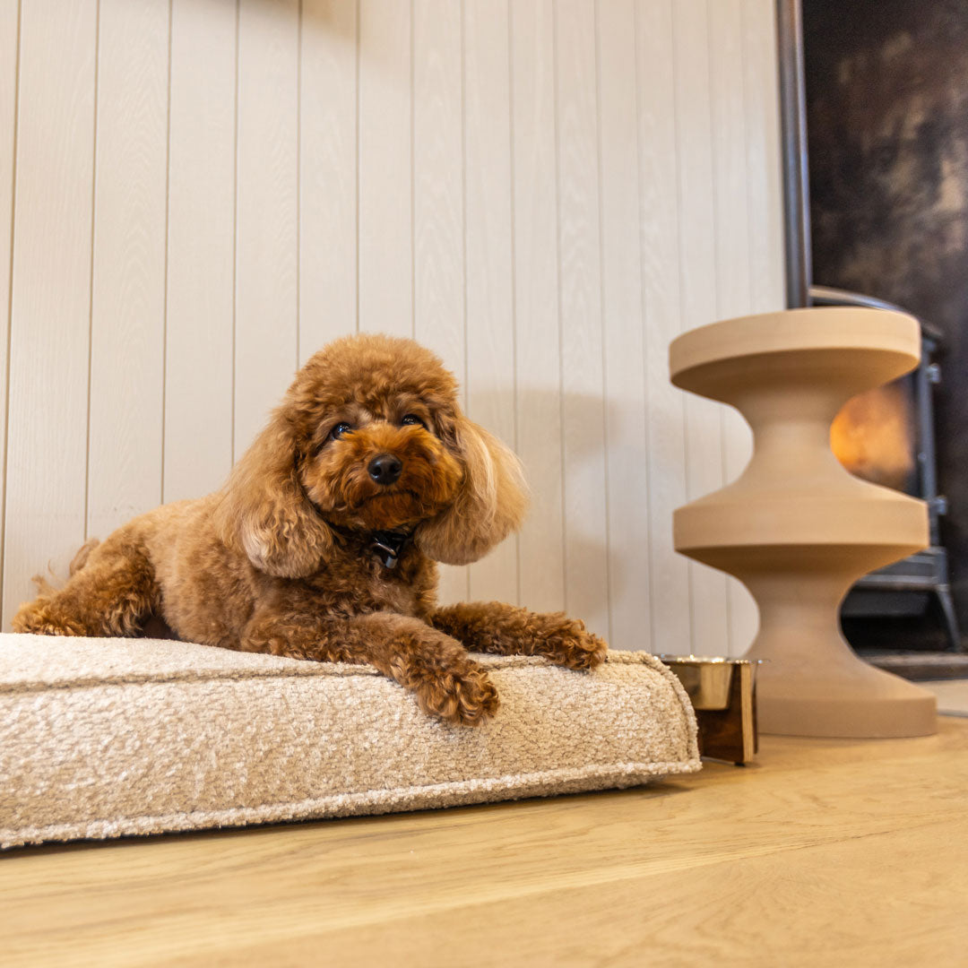 עומר – מזרן רביצה