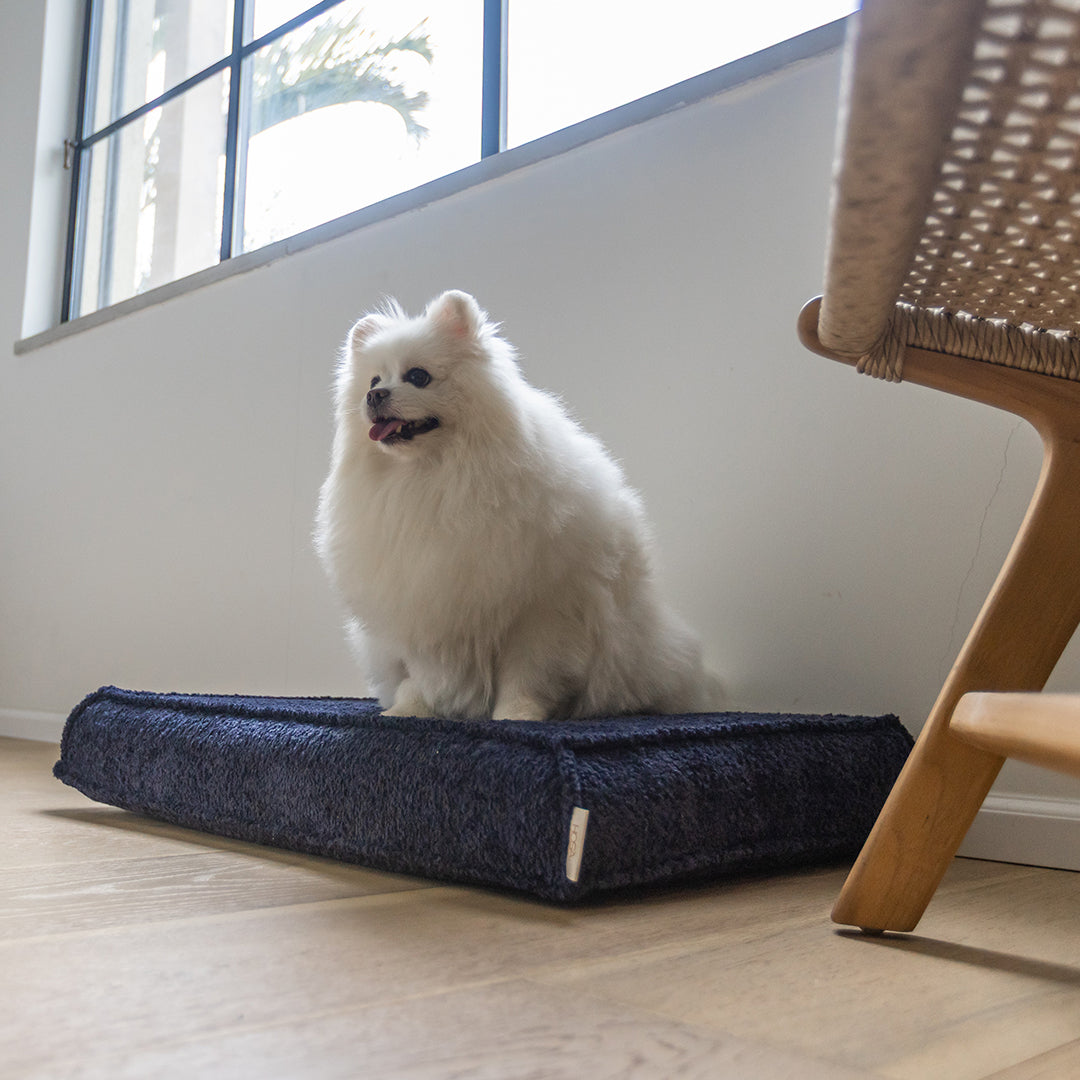 עומר – מזרן רביצה