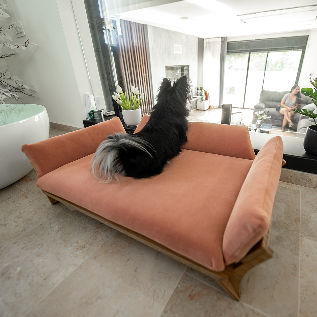 איימי - ספה לכלב