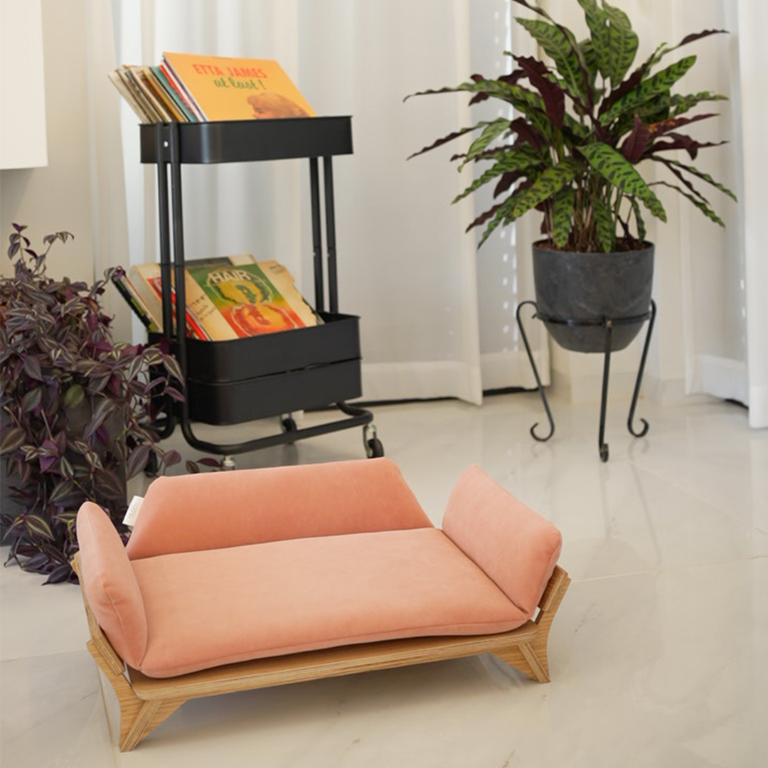 איימי - ספה לכלב