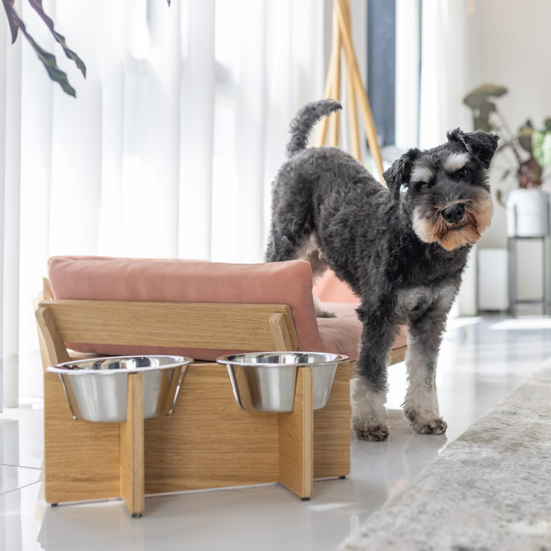 Hosa Pet Furniture - הוסה ריהוט לבעלי חיים