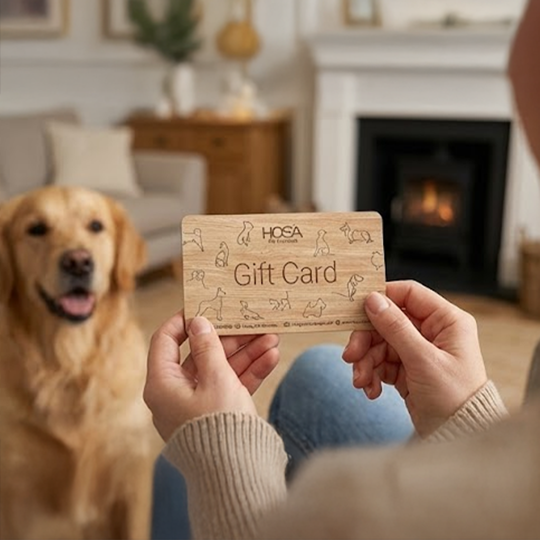 Hosa Pet Furniture - הוסה ריהוט לבעלי חיים