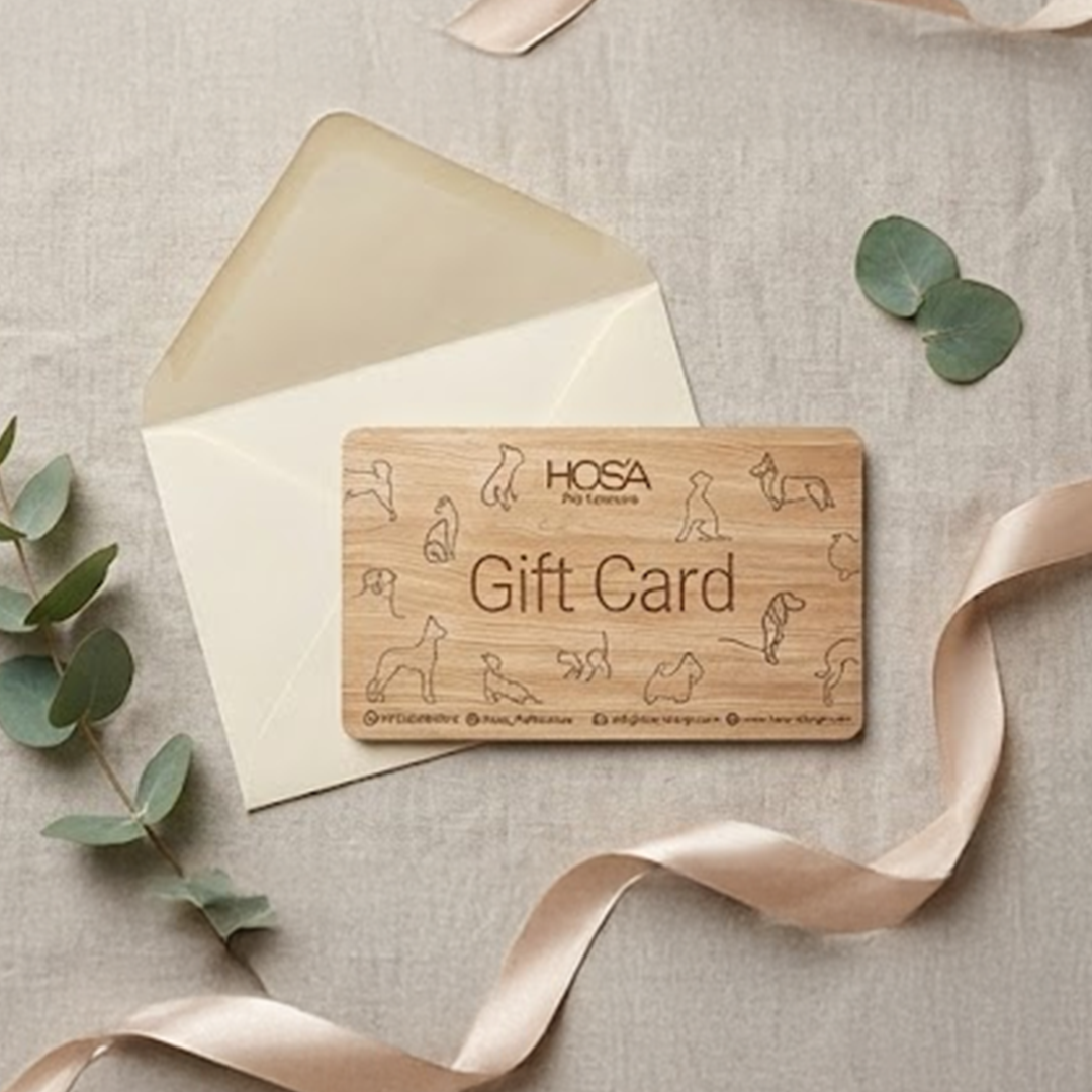 Hosa Pet Furniture - הוסה ריהוט לבעלי חיים