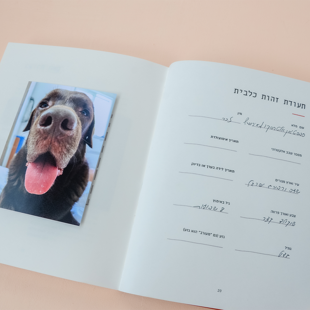 הביתה - יומן מסע לחיים משותפים