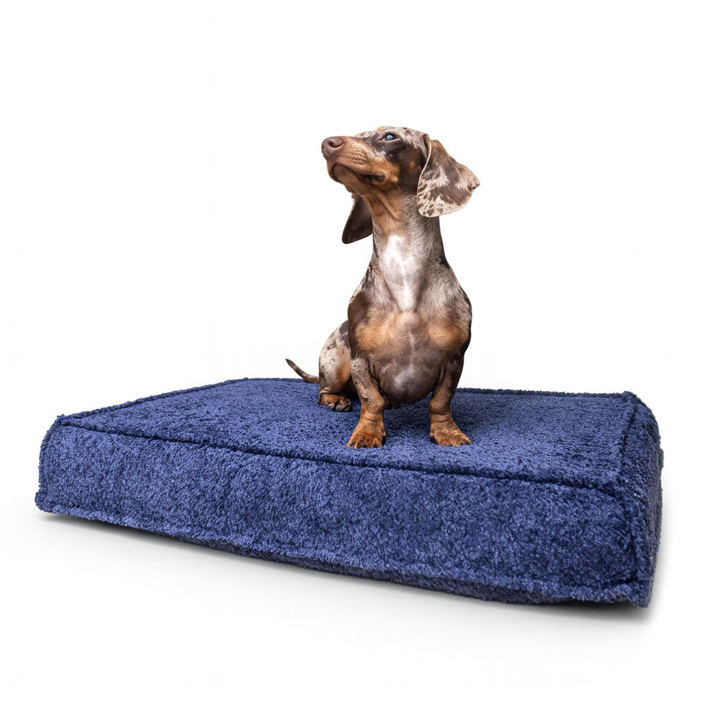 עומר – מזרן רביצה