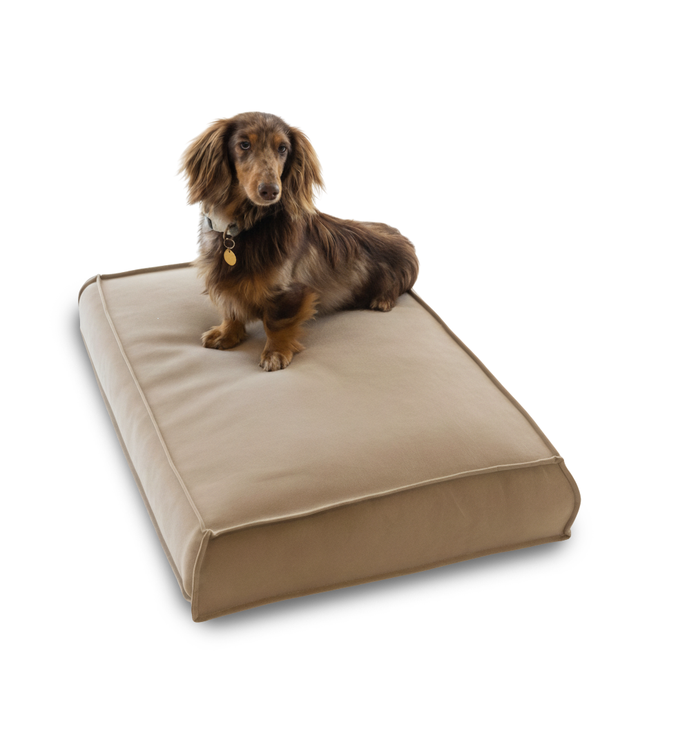 עומר – מזרן רביצה