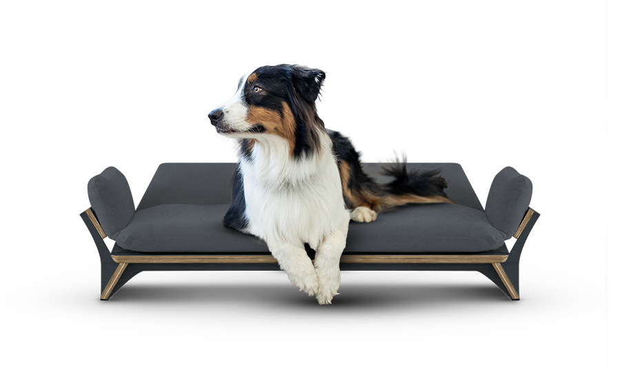 איימי - ספה לכלב