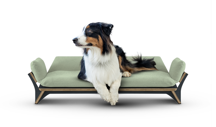 איימי - ספה לכלב