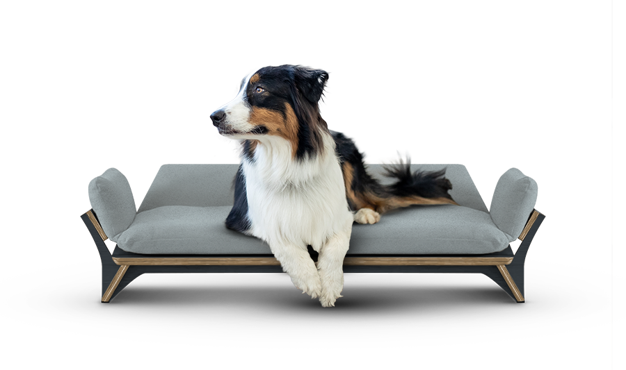 איימי - ספה לכלב