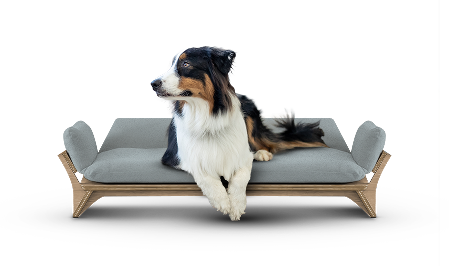 איימי - ספה לכלב