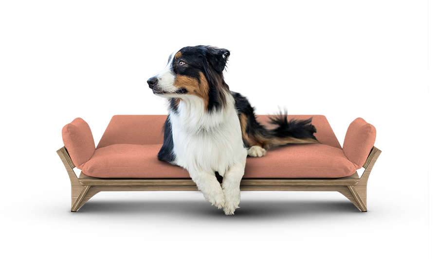 איימי - ספה לכלב