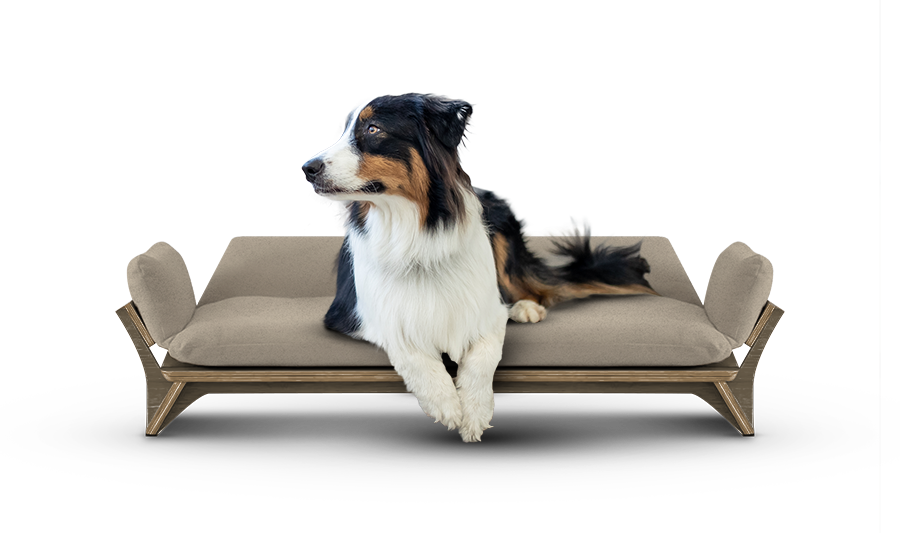 איימי - ספה לכלב