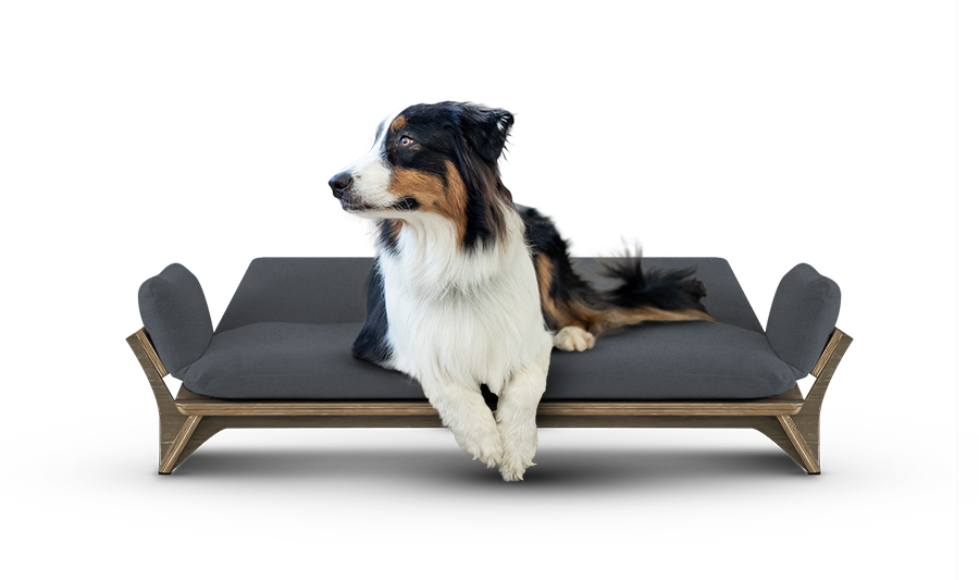 איימי - ספה לכלב