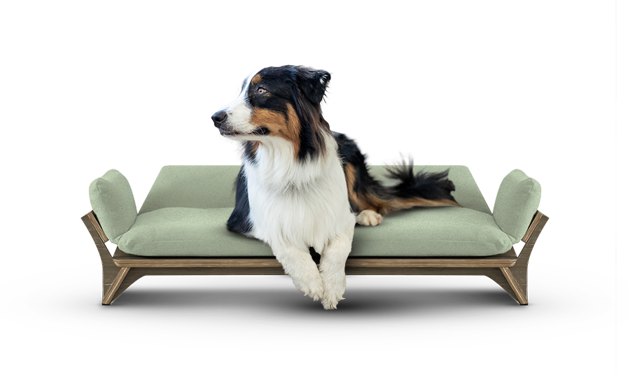 איימי - ספה לכלב