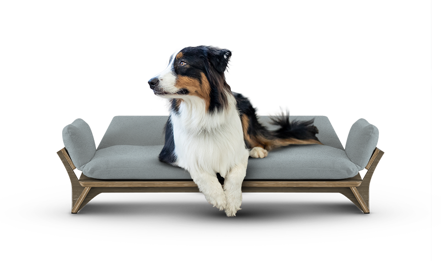 איימי - ספה לכלב