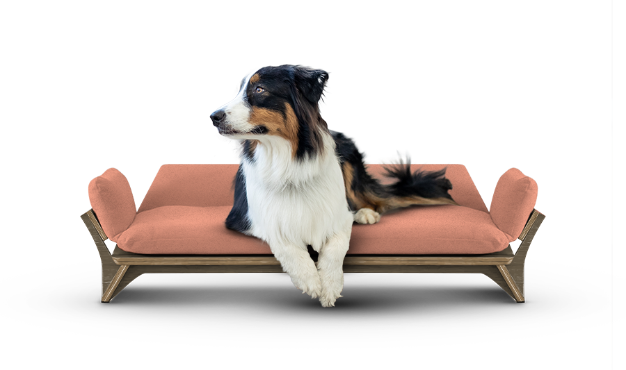 איימי - ספה לכלב