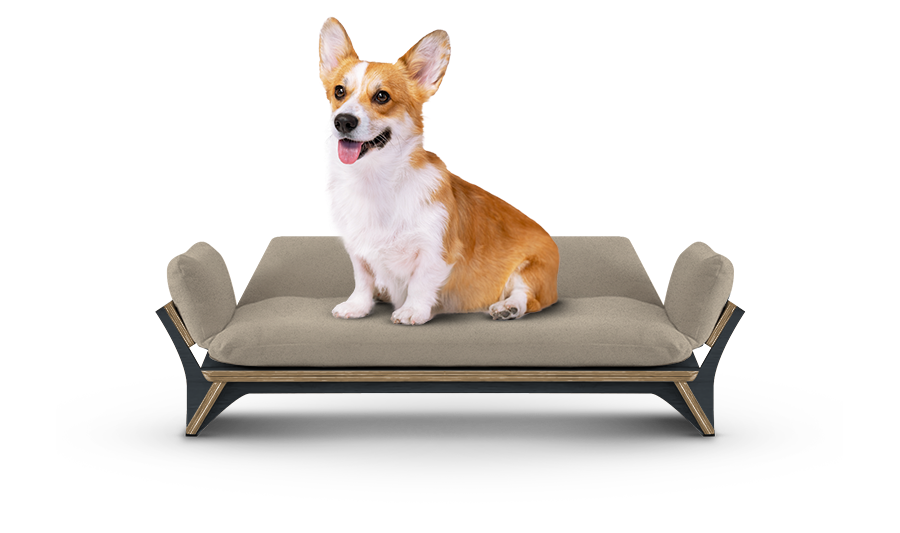 איימי - ספה לכלב