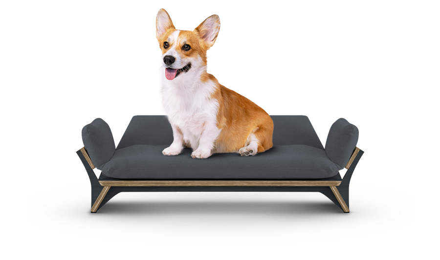 איימי - ספה לכלב