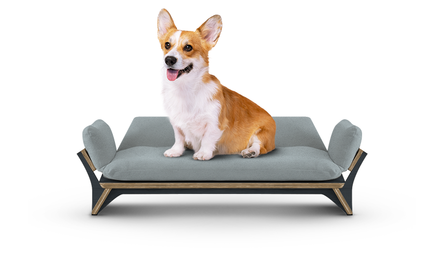 איימי - ספה לכלב