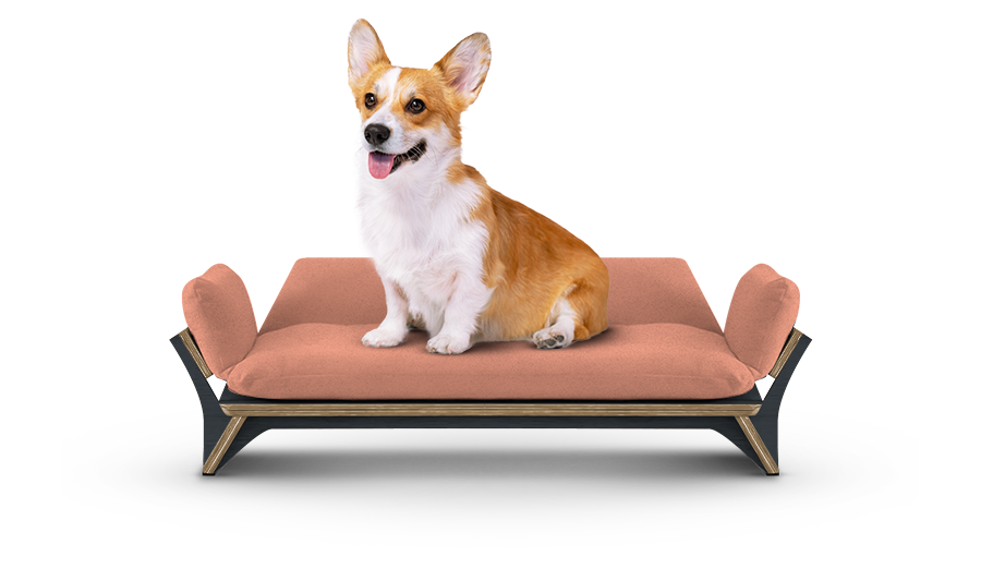 איימי - ספה לכלב