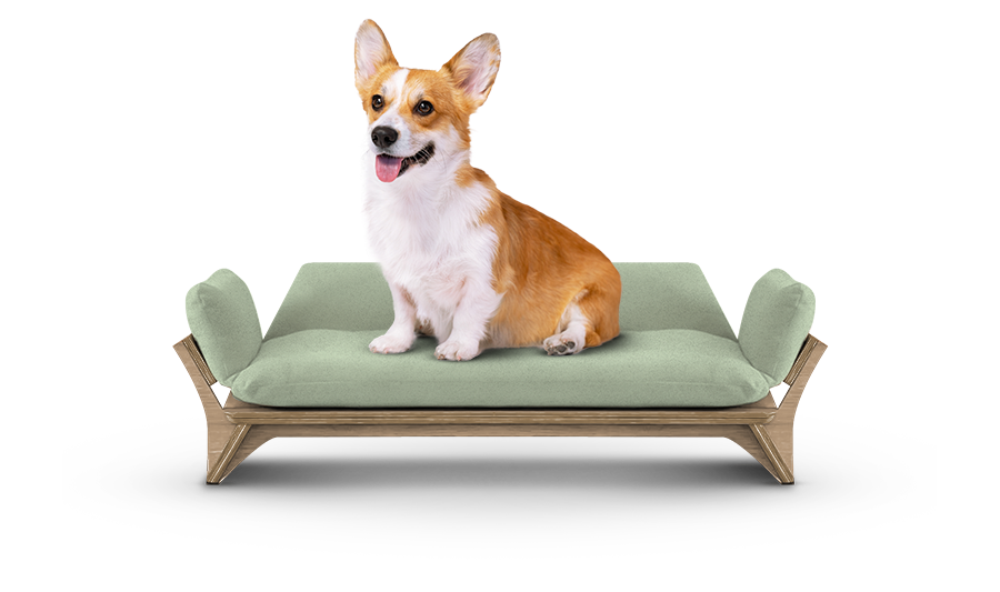 איימי - ספה לכלב