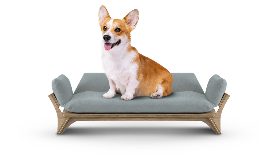 איימי - ספה לכלב