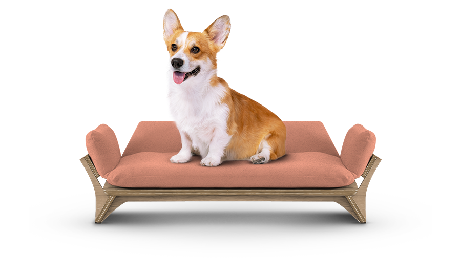 איימי - ספה לכלב