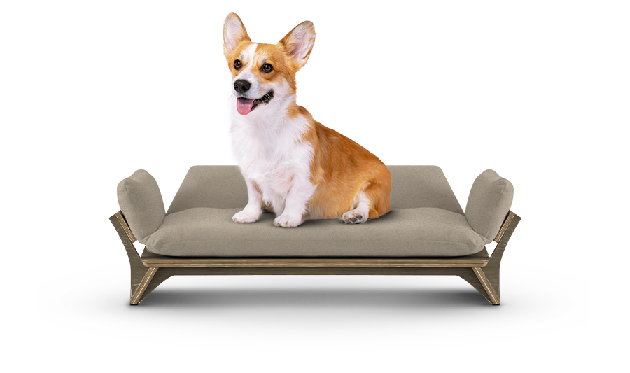 איימי - ספה לכלב