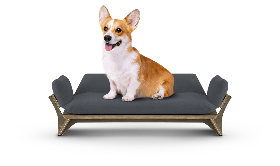 איימי - ספה לכלב