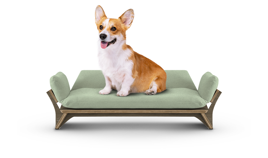 איימי - ספה לכלב