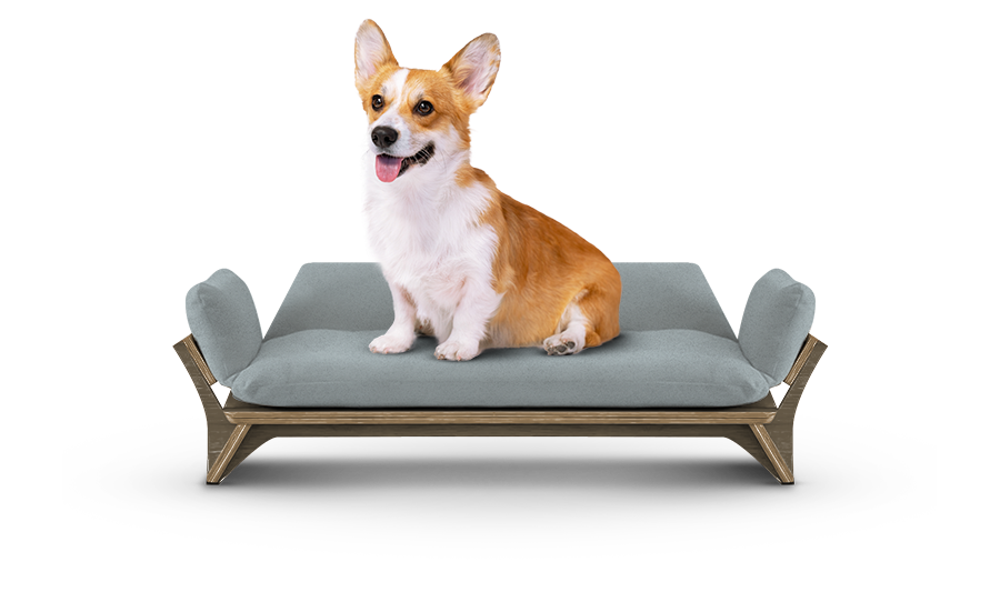 איימי - ספה לכלב