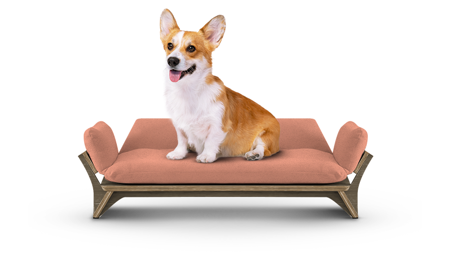 איימי - ספה לכלב