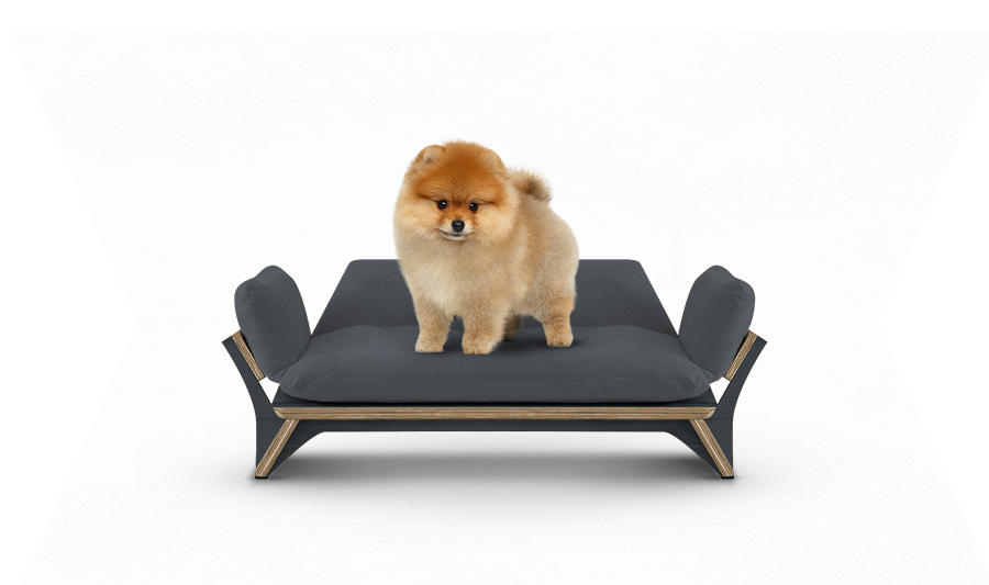 איימי - ספה לכלב