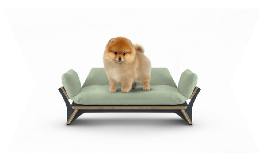 איימי - ספה לכלב