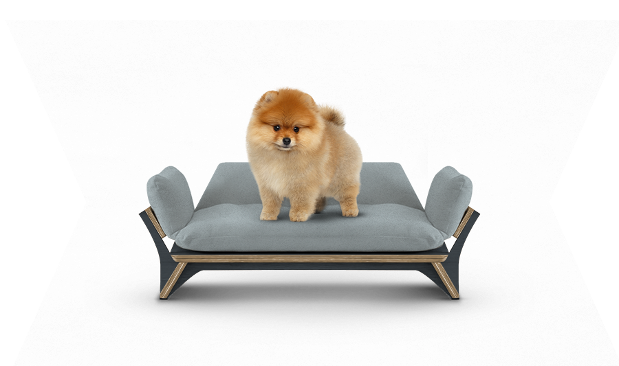 איימי - ספה לכלב