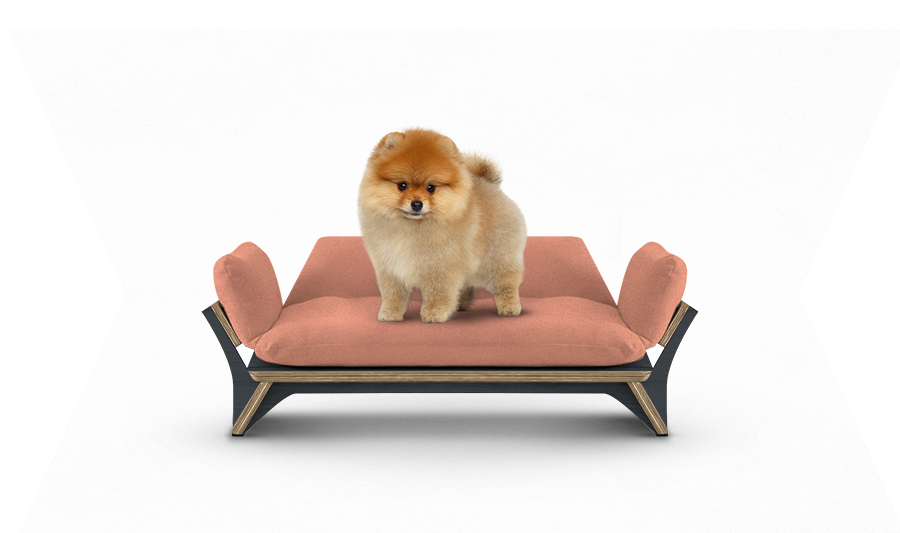 איימי - ספה לכלב