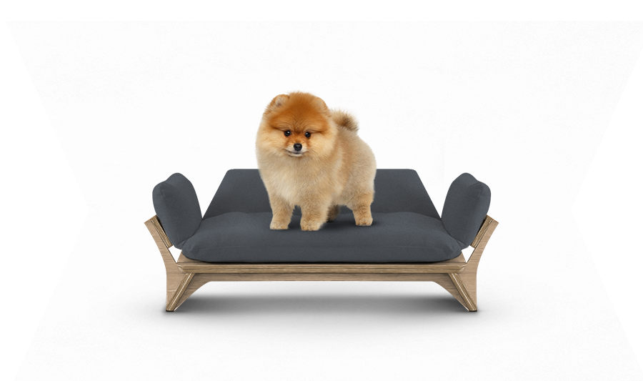 איימי - ספה לכלב