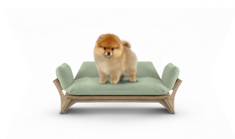 איימי - ספה לכלב