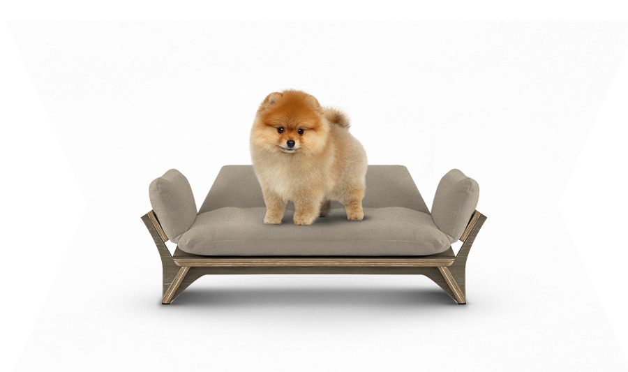 איימי - ספה לכלב