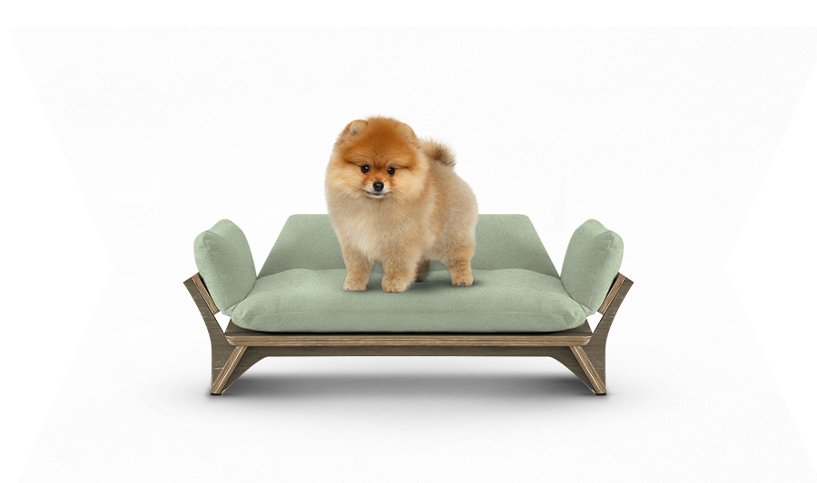 איימי - ספה לכלב